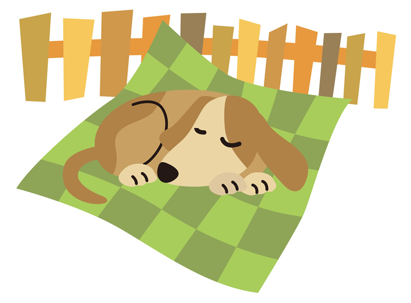 しつけられて犬は大変